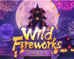 wild fireworks by crystals89